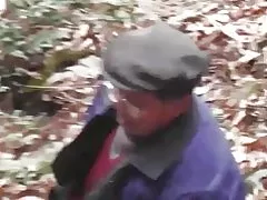 Bos-reeks - bos wild